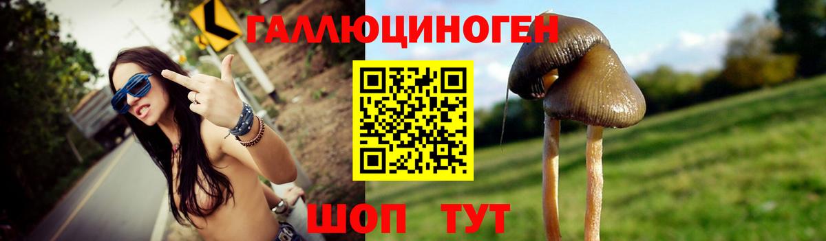 где продают наркотики  Вход с VPN  Котельники  Псилоцибиновые грибы GOLDEN TEACHER 